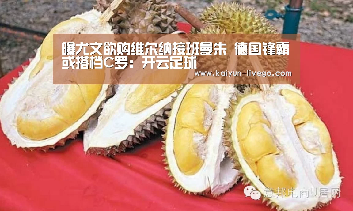 开云篮球