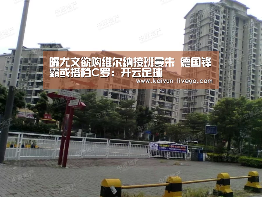 开云体育