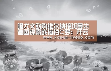 开云足球