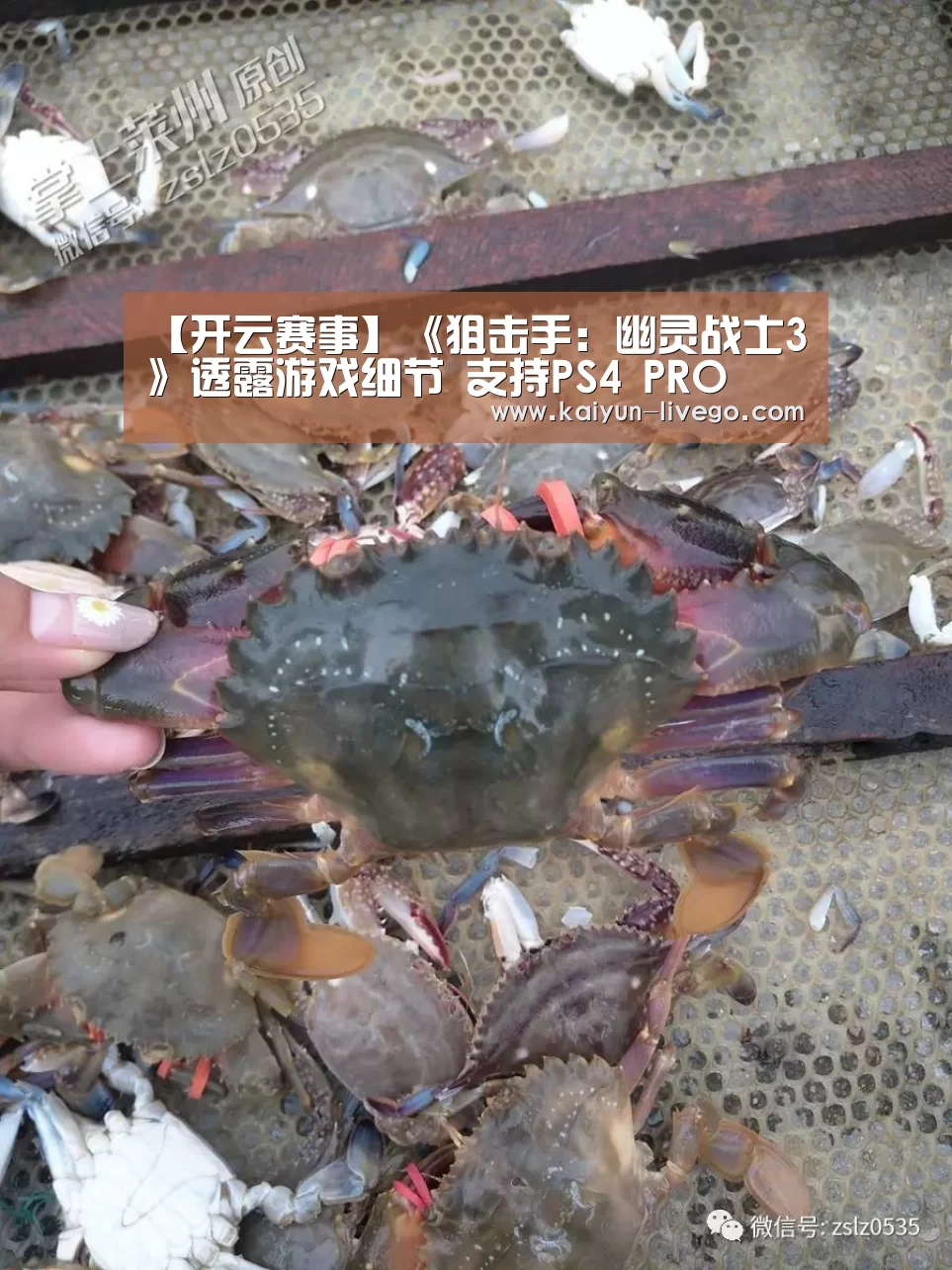 开云体育