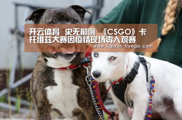 开云体育
