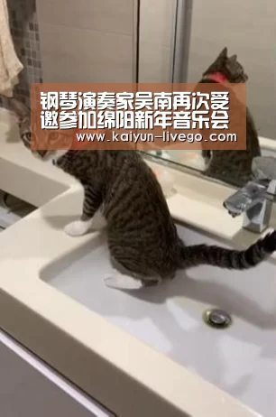 开云体育