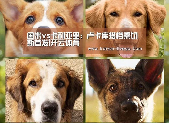 开云篮球