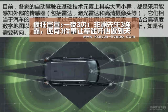 开云足球