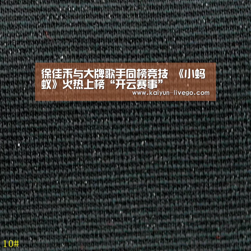 徐佳禾与大牌歌手同榜竞技 《小蚂蚁》火热上榜“开云赛事”(图2) 开云体育