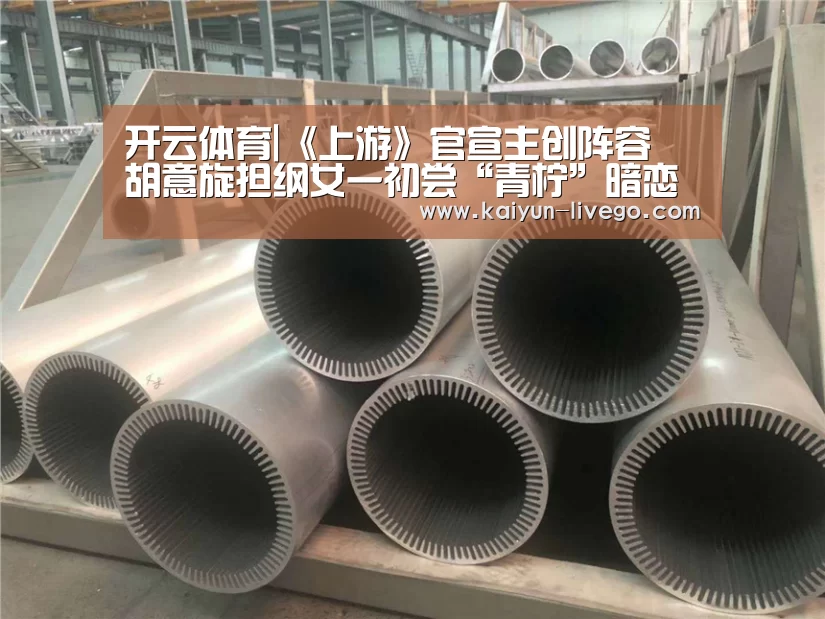开云体育|《上游》官宣主创阵容 胡意旋担纲女一初尝“青柠”暗恋(图1) 开云篮球