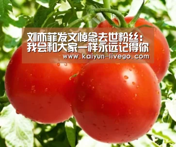 刘亦菲发文悼念去世粉丝:我会和大家一样永远记得你-开云体育(图2) 开云体育