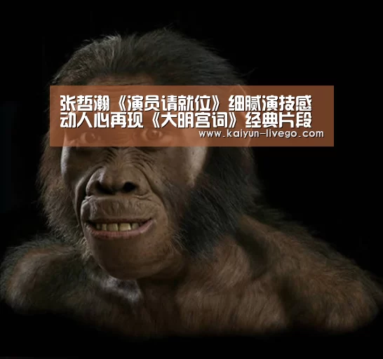 开云篮球